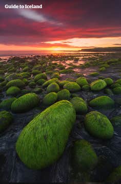 레이캬비크 출발 레이캬네스의 숨겨진 남부 보석들을 둘러보는 독특한 8시간 투어