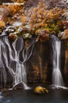 West Iceland has waterfalls such as Hraunfossar.