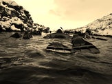  Snorkel en la Grieta de Silfra en Islandia 