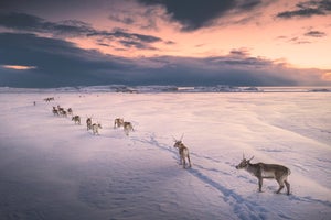 Adventure Tours in Iceland