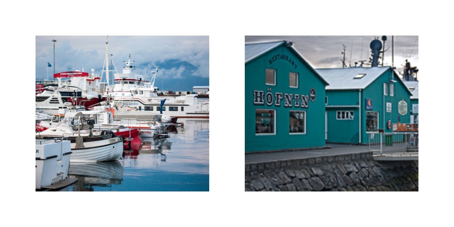 the harbour Reykjavík