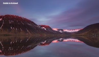 Westfjords Tours