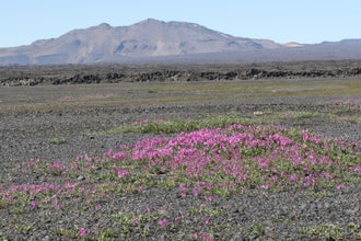 Your 12-hour tour of Askja caldera is full of diverse natural landscapes.