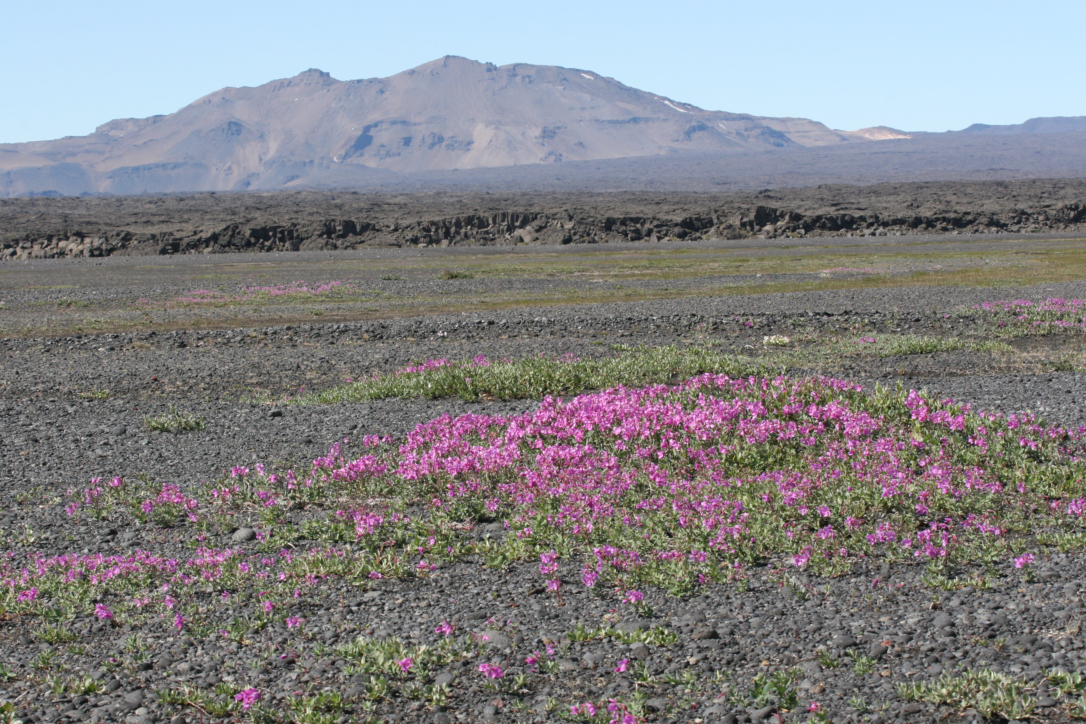 Your 12-hour tour of Askja caldera is full of diverse natural landscapes.