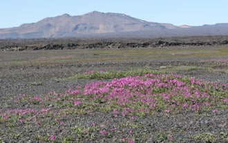 Your 12-hour tour of Askja caldera is full of diverse natural landscapes.