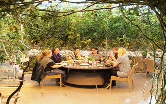A group of travelers enjoys lunch in the Fridheimar Greenhouse restaurant.
