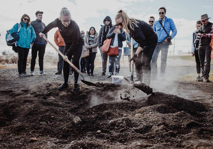 Travelers digging a pot of geothermal rye bread out of the hot ground on the Fontana tasting at Laugarvatn.