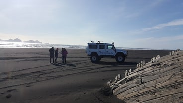 This super jeep tour allows you to drive and walk along black sand beaches on Iceland's South Coast.