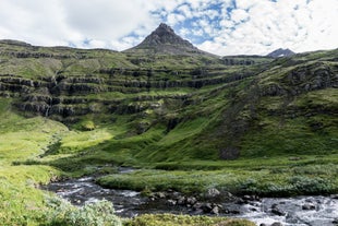 The lush green landscape of the Mjoifjordur fjord during summer in Iceland.