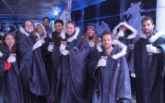 A group of guests enjoying cocktails in the Magic Ice Bar and Gallery.