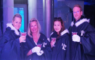 Visitors enjoying drinks in the ice bar from ice glasses.