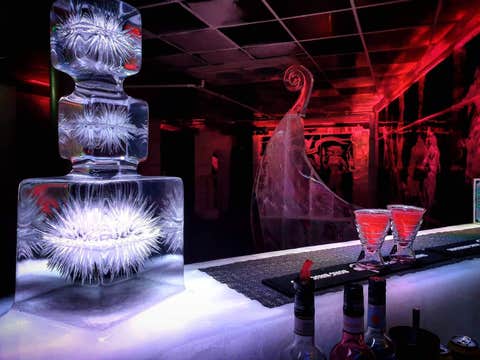 Entry to the Magic Ice Bar & Gallery in Reykjavik with Welcome Drink