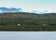 800px-Hallormsstaður.jpg
