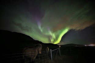 2-godzinna wycieczka quadami z przewodnikiem na zorzę polarną z odbiorem w Reykjaviku.