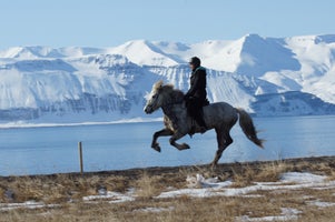 Seydisfjordur Shore Excursions