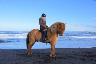 Ein Reiter posiert für ein Foto während einer Reittour am Meer bei Husavik.