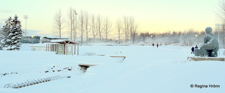 Beautiful white Snow in Laugardalur Valley in Reykjavík