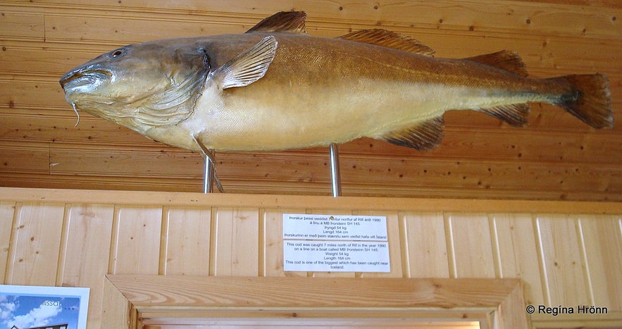 The Fishermen's Garden in Hellissandur on the Snæfellsnes Peninsula in West-Iceland