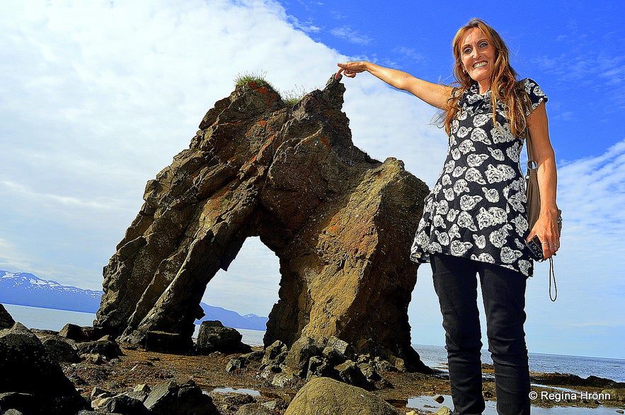 Regína by Gatanöf arch-rock on Bakkahöfði cape North-Iceland