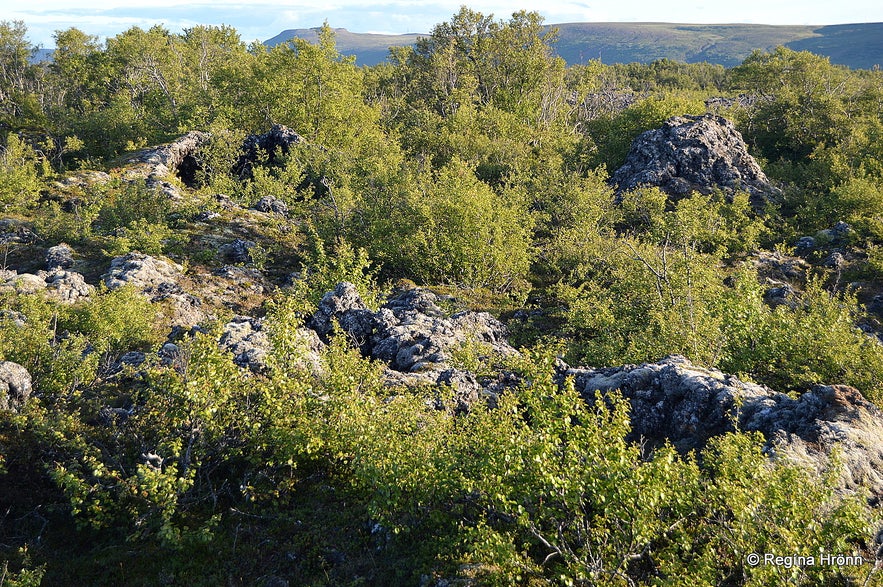 Aðaldalshraun lava field in North-Iceland