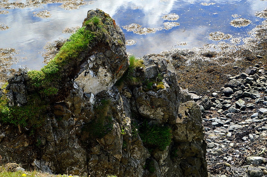 Bakkahöfði cape North-Iceland