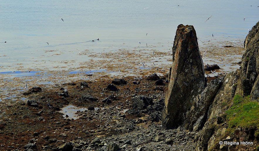 Bakkahöfði cape North-Iceland