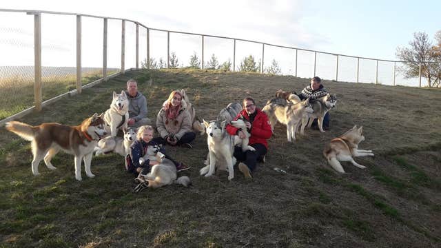 Husky Petting and Photo Experience in Akureyri