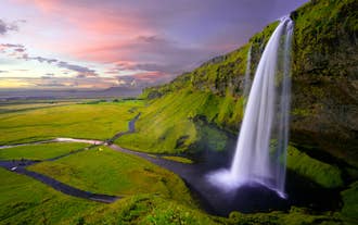 Der Wasserfall Seljalandsfoss an einem sonnigen Sommertag, umgeben von grünem Gras.