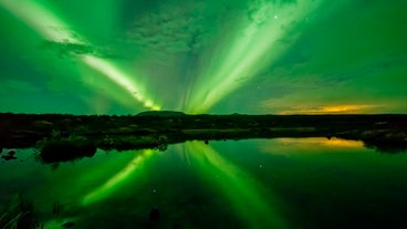 Croisière Sereine pour Voir les Aurores Boréales de 2-3 heures depuis Reykjavik