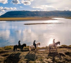 Three people are riding Icelandic horses along a river trail in South Iceland on a sunny day.