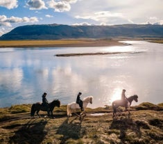 1小时冰岛骑马旅行团｜黄金圈沿线，适合自驾