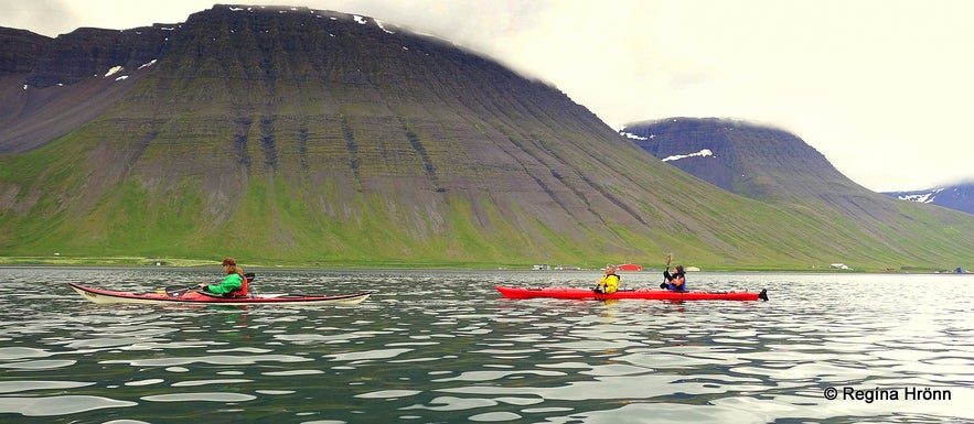 Kayaking by Ísafjörður town in the Westfjords of Iceland