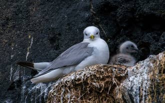 ์ ๋ฒฝ์ ๋ฅ์ง๋ฅผ ํผ ๊ฐ๋งค๊ธฐ์ ๋ณ์๋ฆฌ.