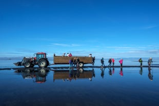 Der Traktor und der Heuwagen, mit denen die Reisenden über Wasserflächen transportiert werden.