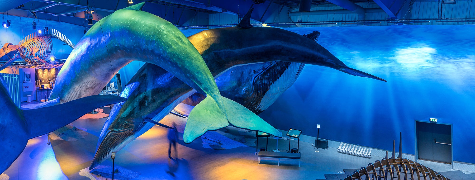 Museums & Exhibitions