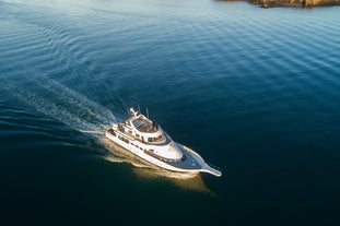 Luxuriöse 3-stündige Walbeobachtungs- & Wildtier-Yachttour mit Transfer ab Reykjavik