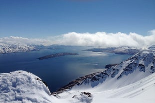 See the best of the North Iceland coastline on this small-group tour from Akureyri.