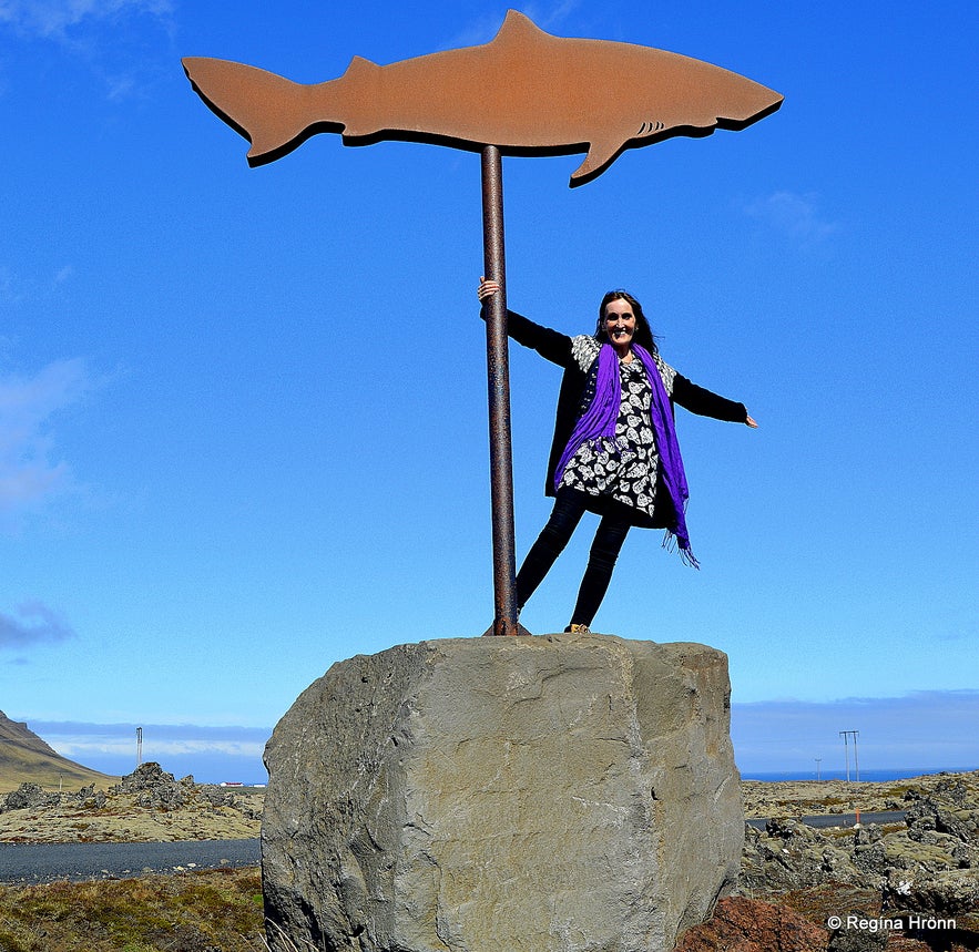 Regína by the shark sign showing the way to theShark museum on the north side of Snæfellsnes peninsula at Bjarnarhöfn