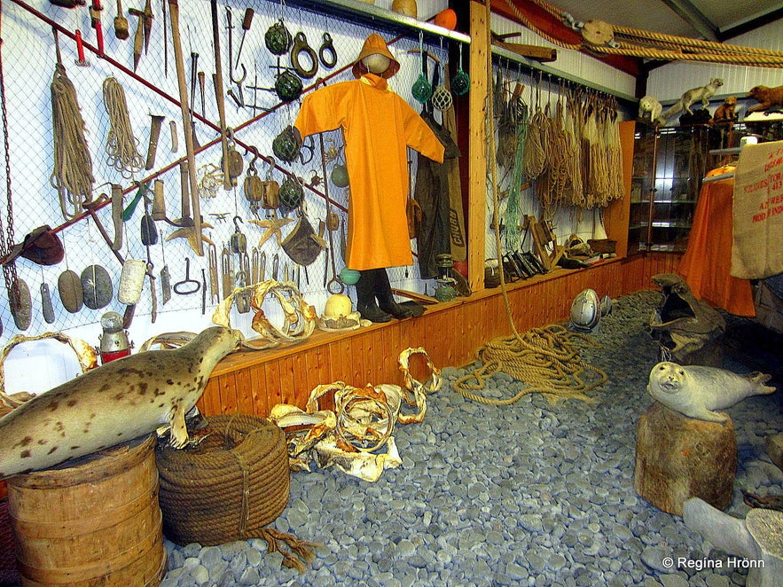 Inside the Shark Museum Snæfellsnes