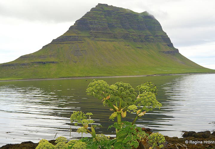 Mt. Kirkjufell & Kirkjufellsfoss in Grundarfjörður - the most photographed Mountain in Snæfellsnes