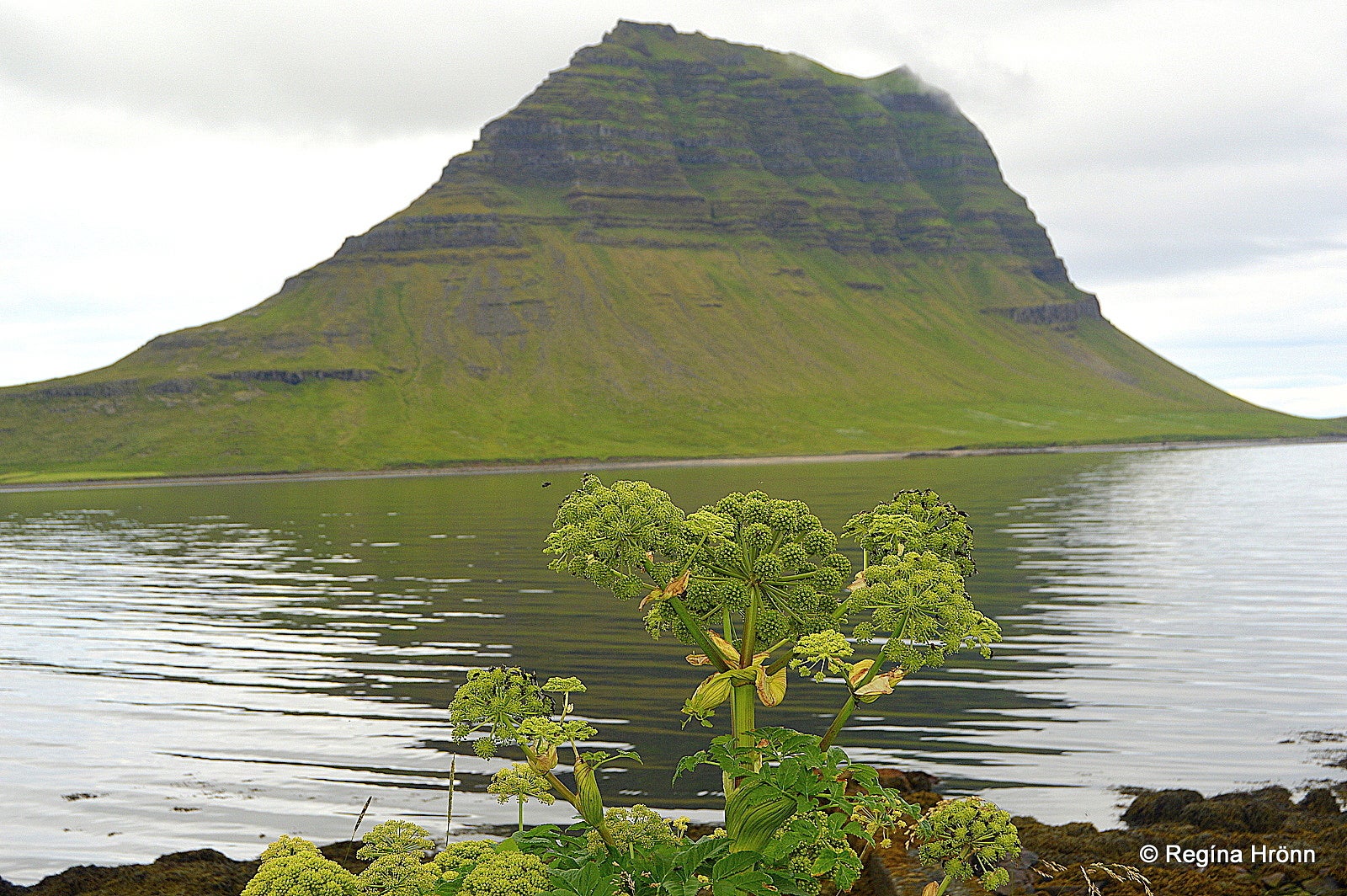 Mt. Kirkjufell & Kirkjufellsfoss in Grundarfjörður - the most photographed Mountain in Snæfellsnes