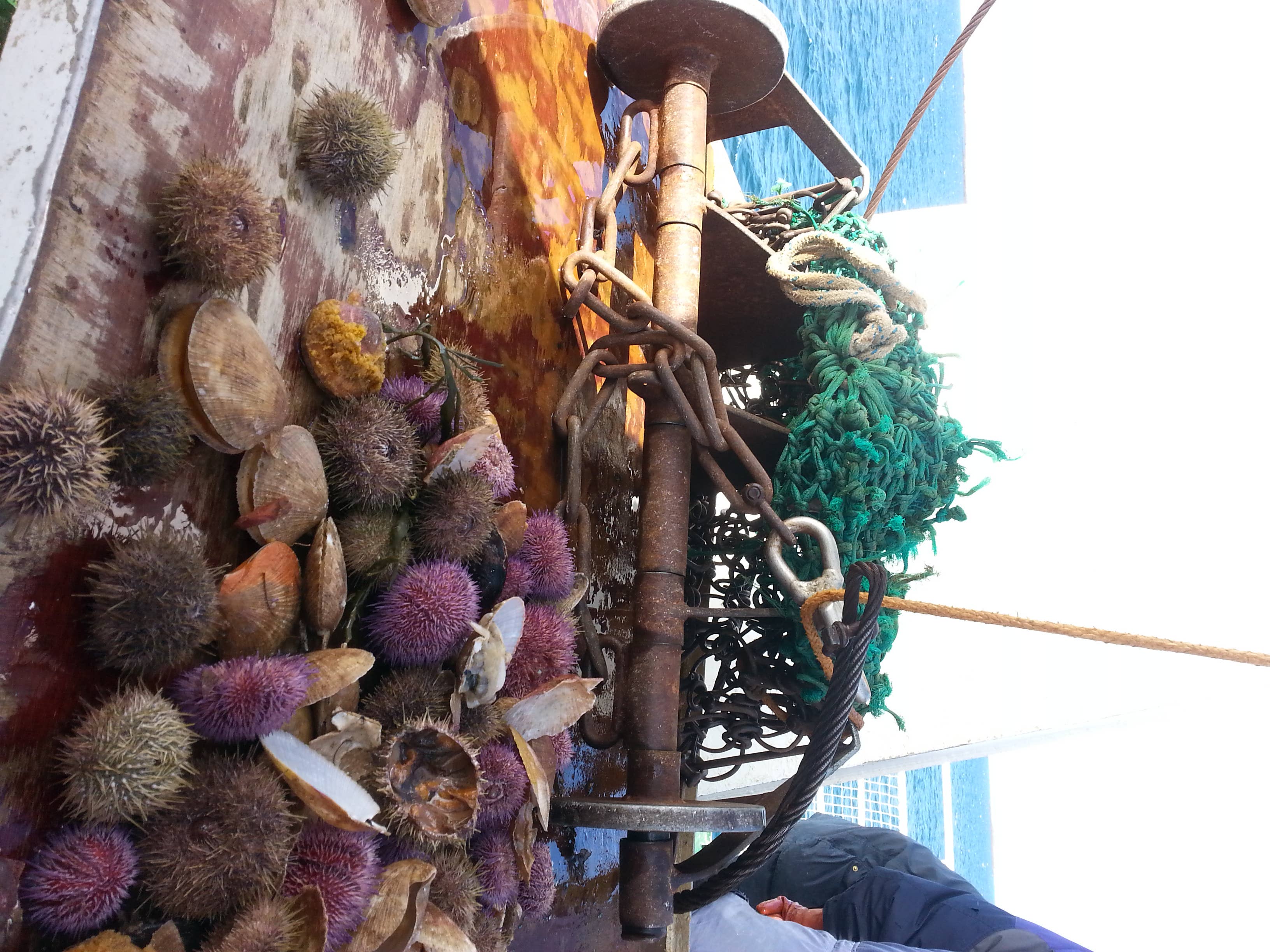 Fruehling im Fjord der tausend Inseln - immer wieder ein Erlebnis