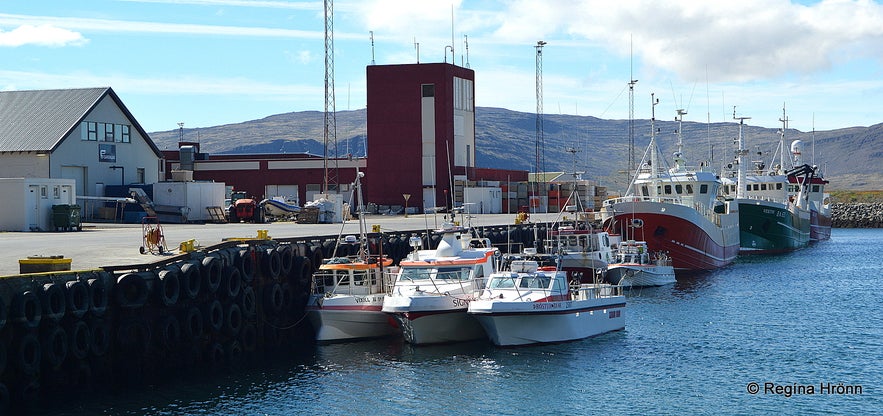 Patreksfjörður village Westfjords