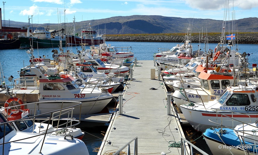 Patreksfjörður village Westfjords