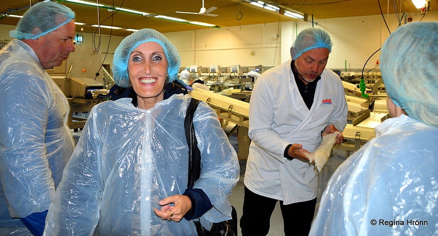 Regína at a A guided visit to the fish processing factory in Patreksfjörður