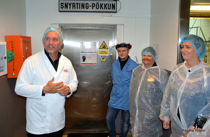 A guided visit to the fish processing factory in Patreksfjörður