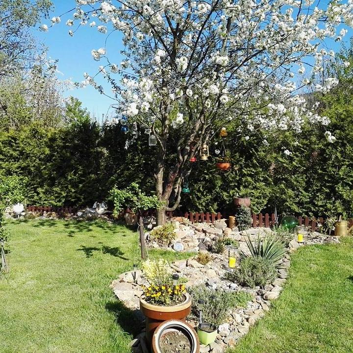 Małgorzata Głogowska