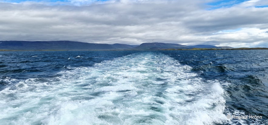 A lovely Boat Tour with Seatours on Breiðafjörður in West Iceland - the Viking Sushi Adventure