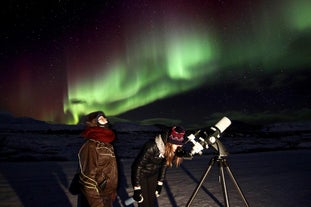 A dazzling display of the celestial dance under Iceland's starlit sky.