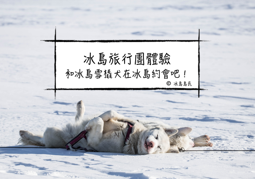 冰島雪橇犬旅行團介紹
